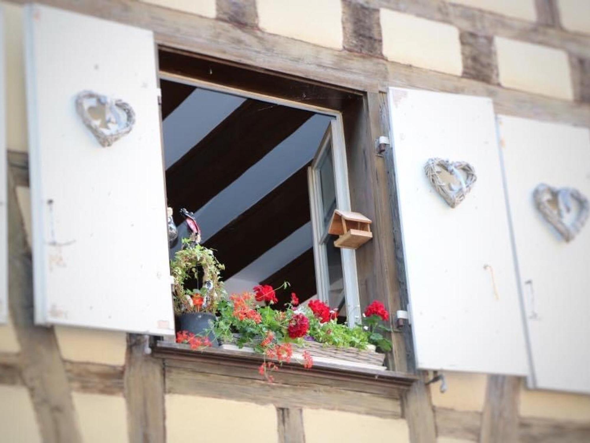 Charmant Appart Avec Garage Et Terrasse Au Coeur De Colmar, Pres De La Route Des Vins D'Alsace - Fr-1-722-6 Extérieur photo