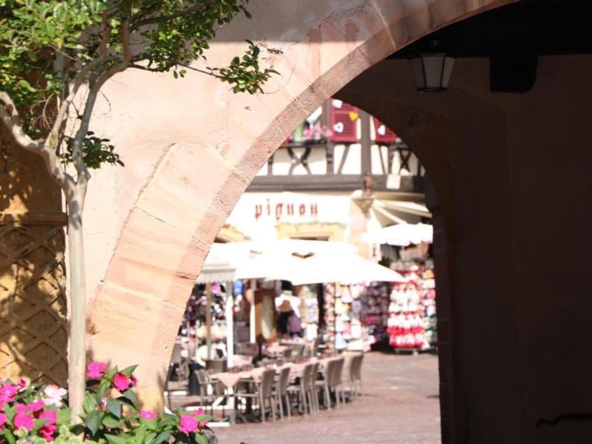 Charmant Appart Avec Garage Et Terrasse Au Coeur De Colmar, Pres De La Route Des Vins D'Alsace - Fr-1-722-6 Extérieur photo
