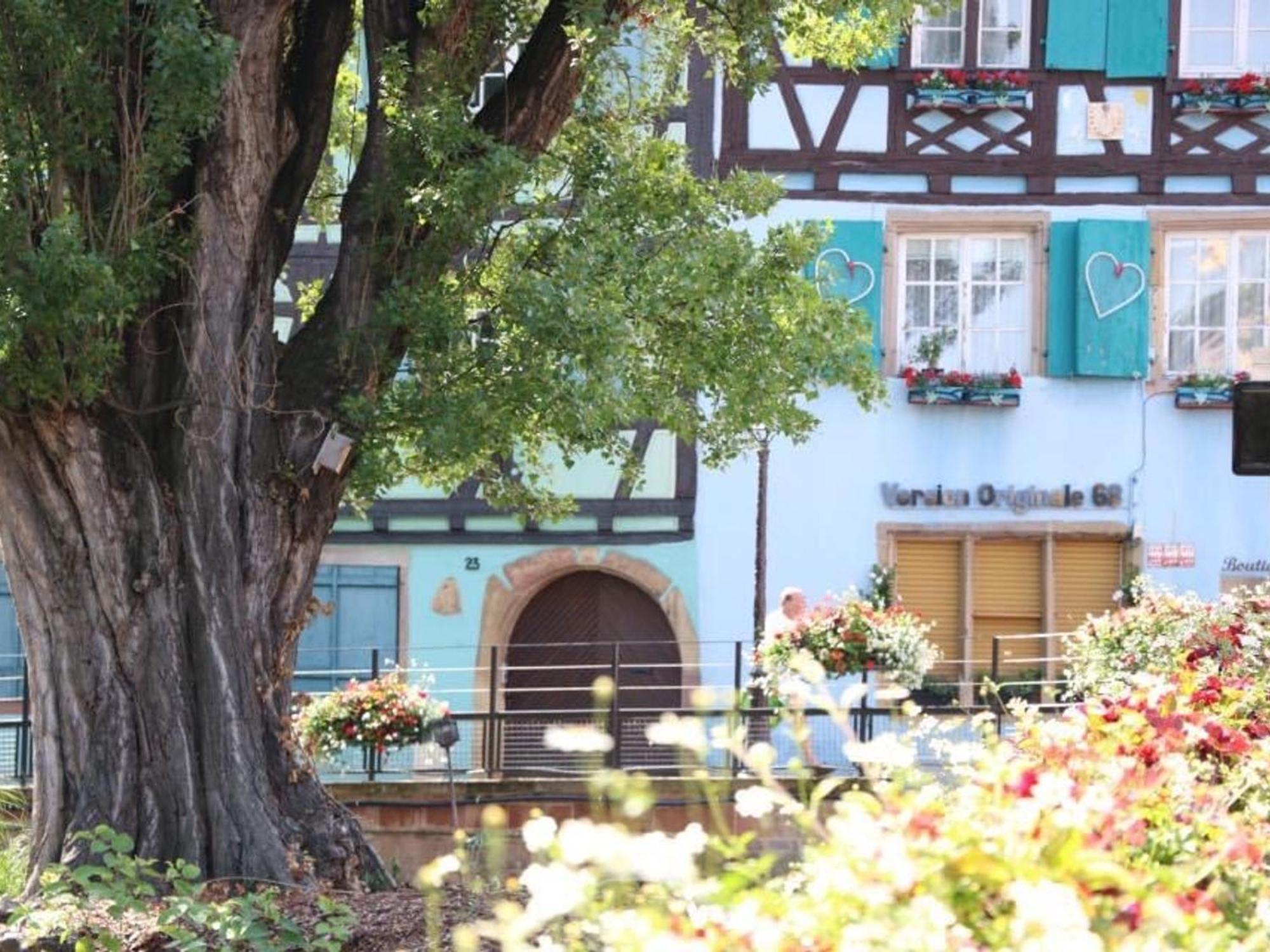 Charmant Appart Avec Garage Et Terrasse Au Coeur De Colmar, Pres De La Route Des Vins D'Alsace - Fr-1-722-6 Extérieur photo